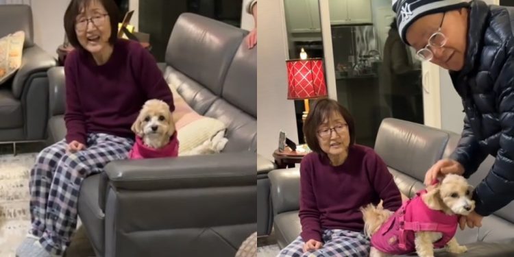 Video: Dog Sits Still When It’s Time to Leave Grandparents’ Home