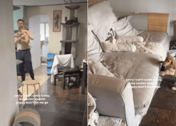 Video: Puppy Tries to Keep Owner Home by Doing This